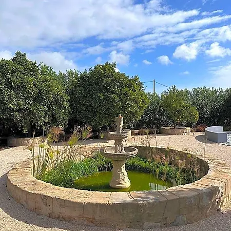 Don Rodrigues Tavira